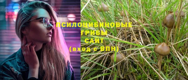стаф Няндома