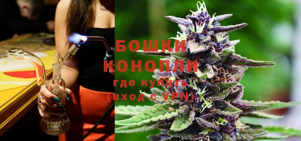 крисы Осинники