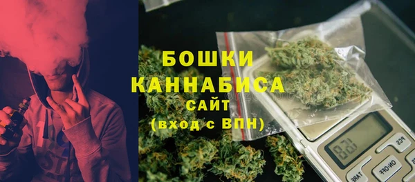 стаф Няндома