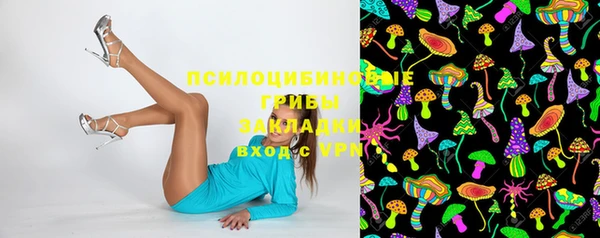 стаф Няндома