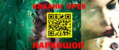 крисы Бийск