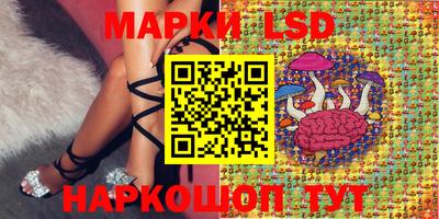 крисы Бийск