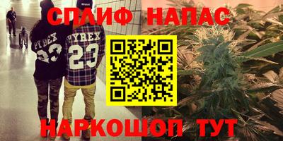 крисы Бийск