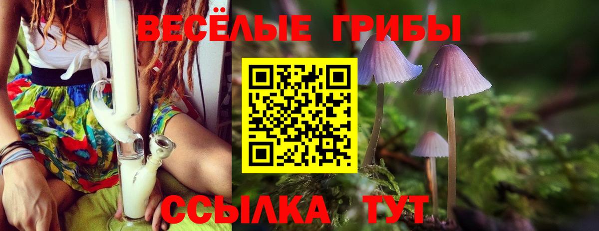 Галлюциногенные грибы мицелий  где купить наркоту  Коммунар  Вход с VPN 